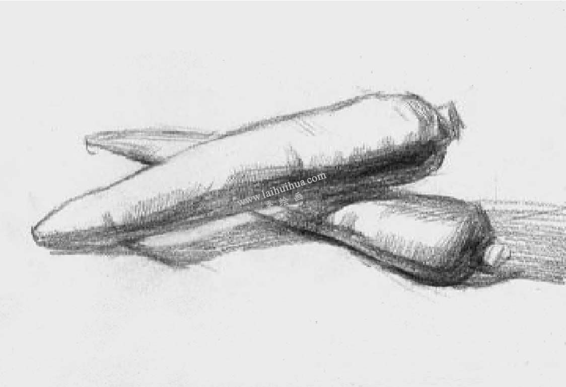 素描兩個胡蘿卜 步驟四