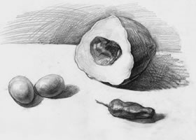 素描南瓜、雞蛋和辣椒