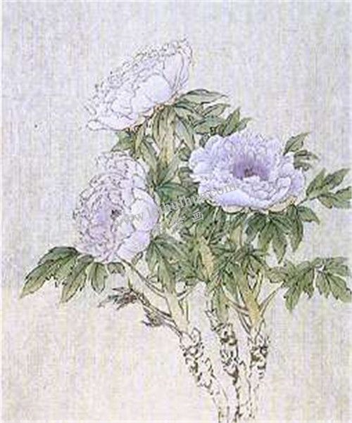 牡丹國(guó)畫(huà)第七步畫(huà)法
