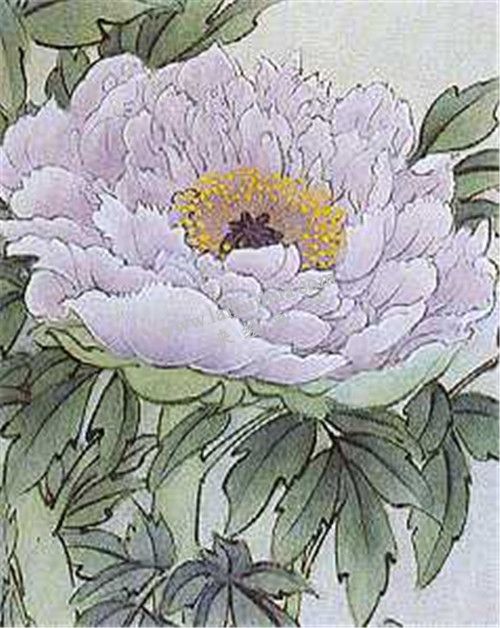 牡丹國(guó)畫(huà)第八步畫(huà)法