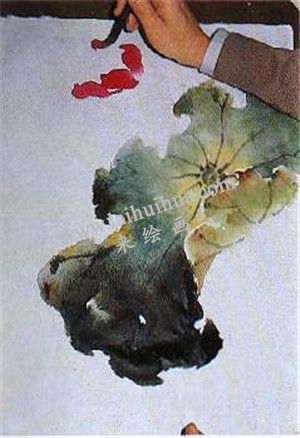 國(guó)畫(huà)荷花繪畫(huà)步驟第四步