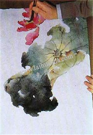 國(guó)畫(huà)荷花繪畫(huà)步驟第五步
