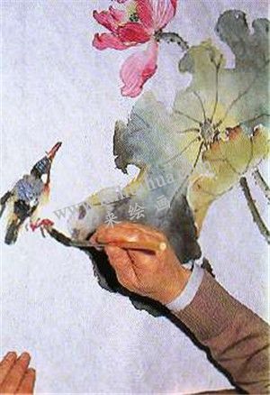 國(guó)畫(huà)荷花繪畫(huà)步驟第八步