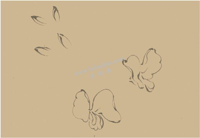 鳳仙花國畫畫法  步驟一