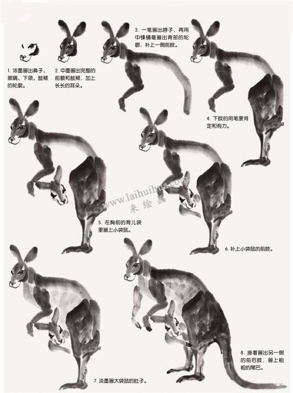 袋鼠的國(guó)畫畫法步驟