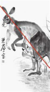 袋鼠的國(guó)畫畫法  小貼士