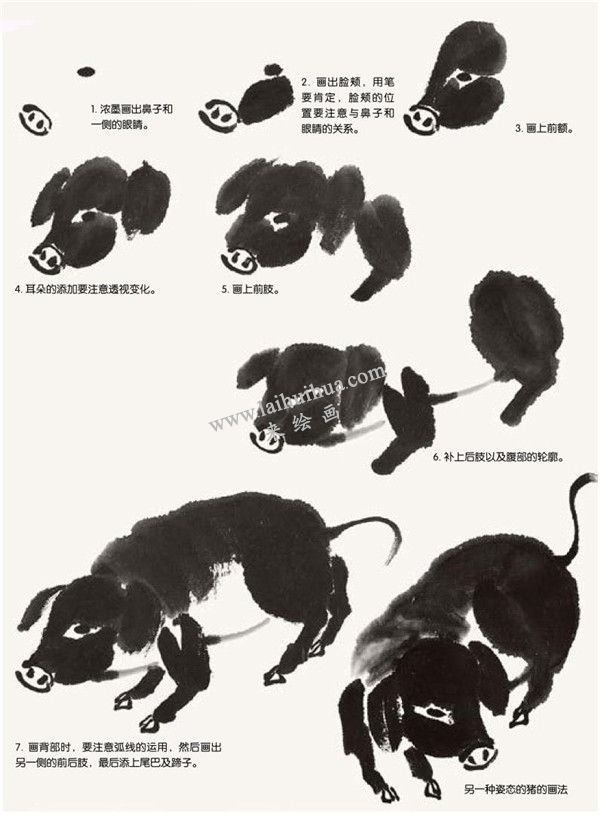 豬的國(guó)畫畫法步驟