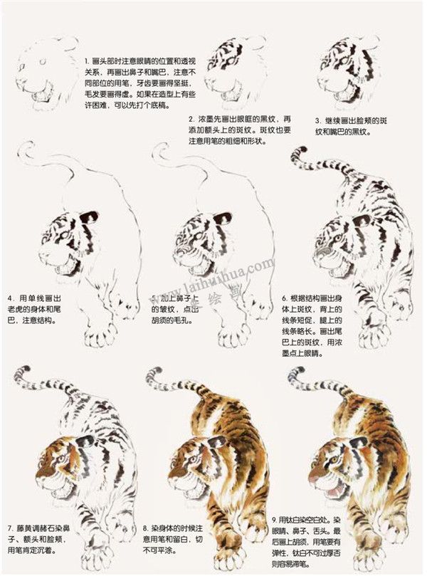 老虎的國(guó)畫畫法步驟