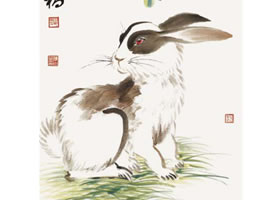 兔子的國(guó)畫(huà)畫(huà)法