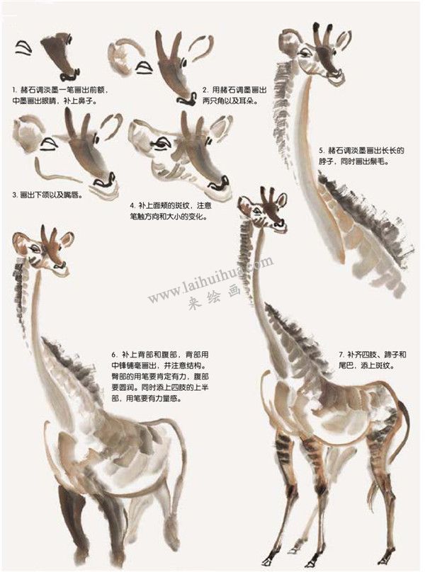 長頸鹿的國畫畫法步驟