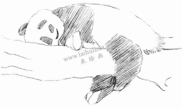 大熊貓的素描畫法步驟 三