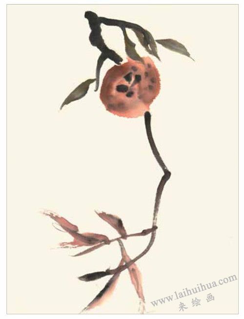石榴的國(guó)畫(huà)畫(huà)法 步驟一