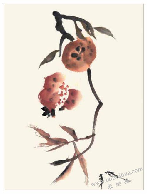 石榴的國(guó)畫(huà)畫(huà)法 步驟三