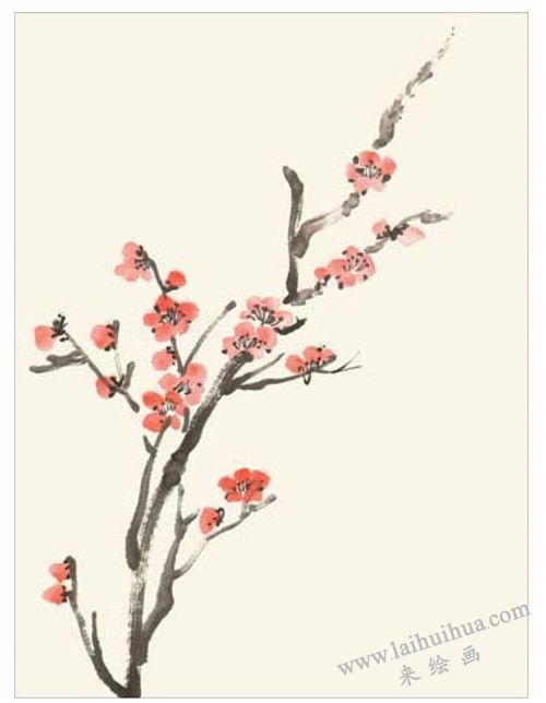 梅花的國畫畫法  步驟一