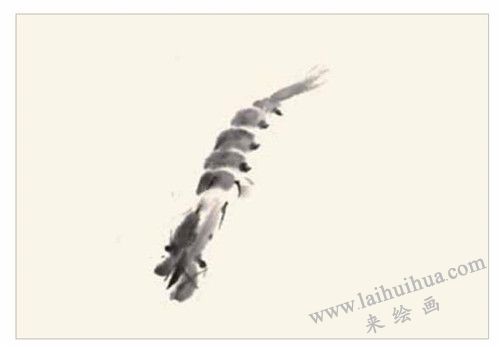 蝦的國(guó)畫畫法  步驟一