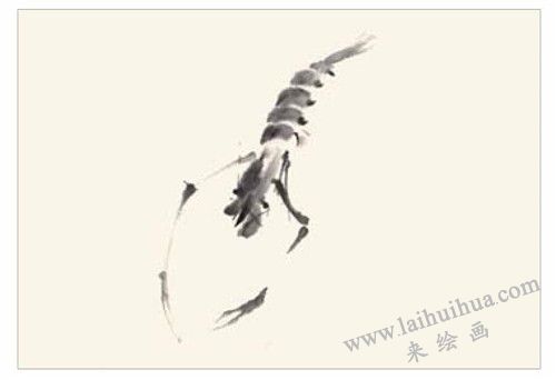 蝦的國(guó)畫畫法  步驟二