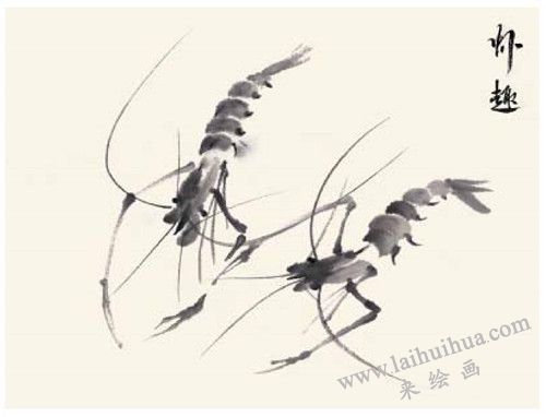 蝦的國(guó)畫畫法  步驟四