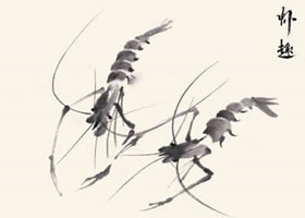 蝦的國(guó)畫畫法