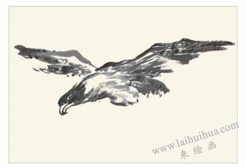老鷹的國畫畫法 步驟一