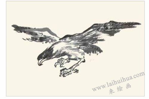 老鷹的國畫畫法 步驟二