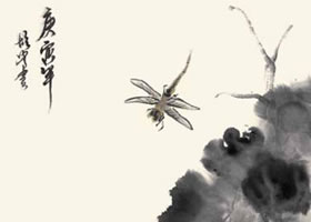 荷花與蜻蜓的國畫畫法
