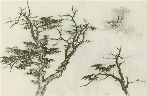 楓樹的國(guó)畫畫法