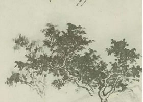 三顆樹(shù)的國(guó)畫(huà)畫(huà)法