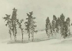 中景樹(shù)的畫(huà)法