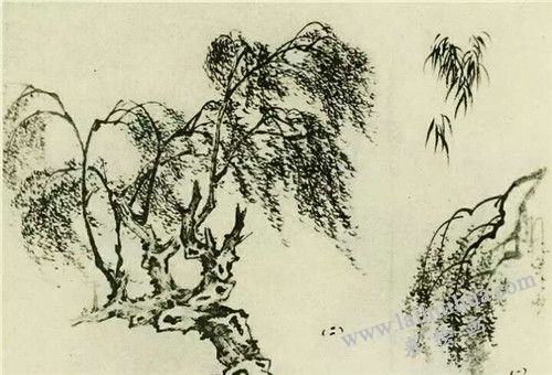 柳樹的畫法