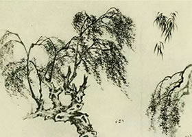 柳樹(shù)的畫(huà)法