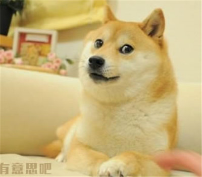 Doge簡(jiǎn)筆畫