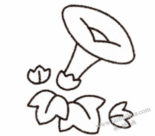 牽牛花簡筆畫畫法步驟 04