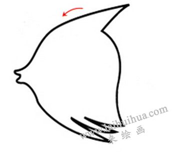 身體的畫法，熱帶魚簡筆畫畫法步驟一