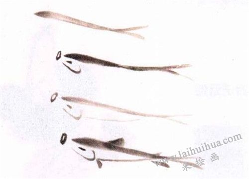 小青魚(yú)水墨畫(huà)畫(huà)法步驟