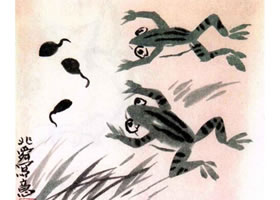 青蛙水墨畫(huà)畫(huà)法步驟