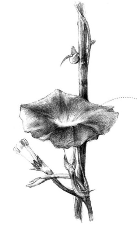 牽?；ㄋ孛璁嫹?></p>

<p> </p>

<p class=