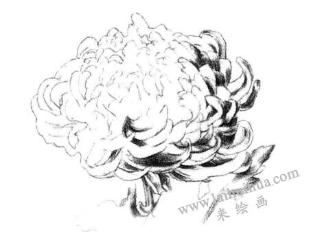 暗面，粉旭桃素描畫法步驟三