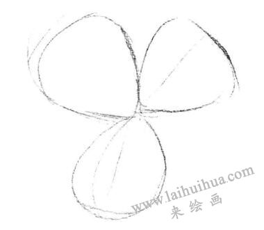 三葉草素描畫法步驟一