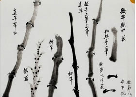 國(guó)畫竹竿的畫法