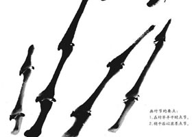 國(guó)畫竹節(jié)的畫法