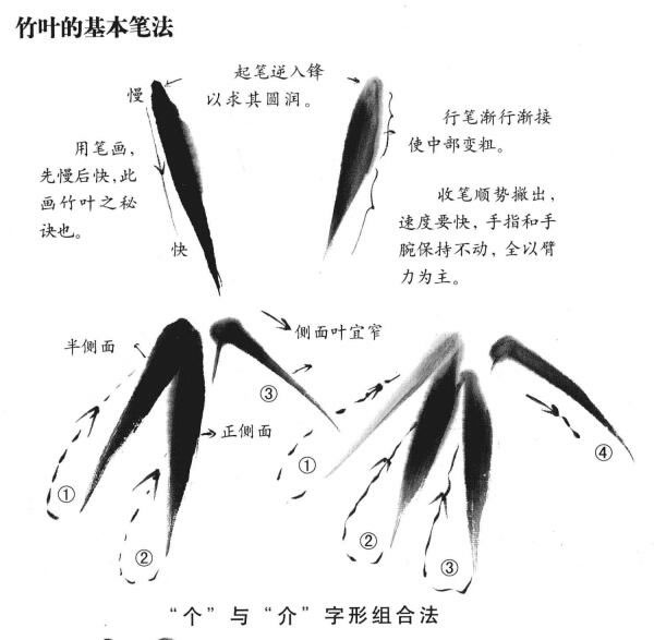國畫竹葉的畫法