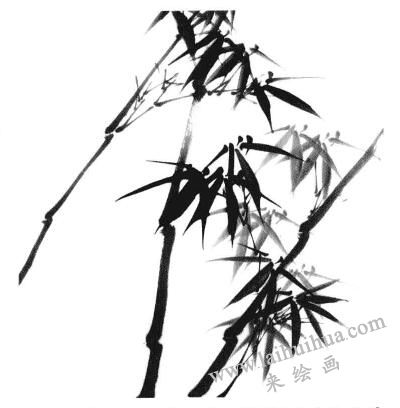 國畫竹子畫法步驟二：竹葉