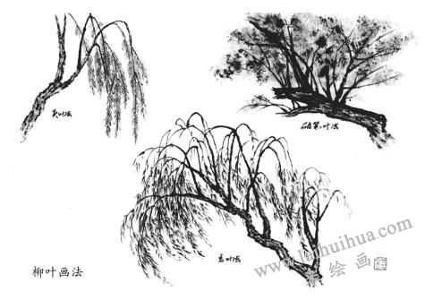 柳葉畫(huà)法