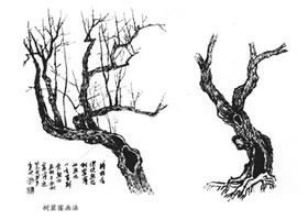 樹疤和樹窟窿的畫法及樹根的畫法