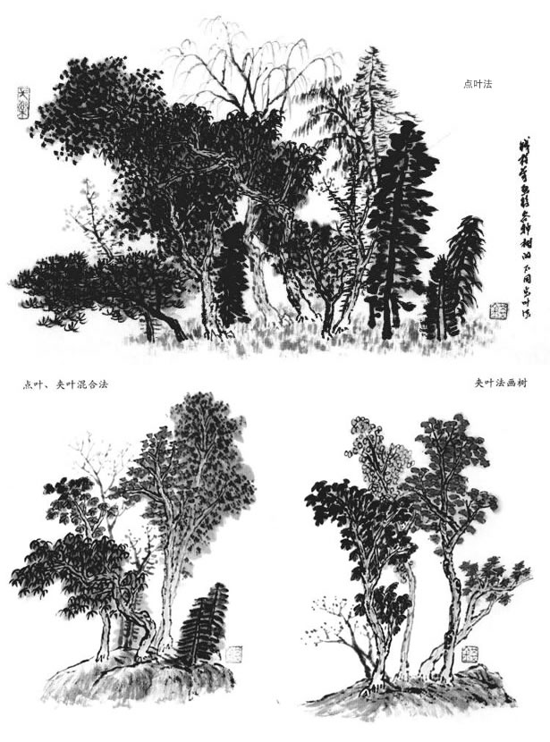 樹(shù)葉的畫(huà)法