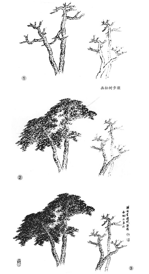 松樹的畫法