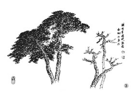 松樹的畫法