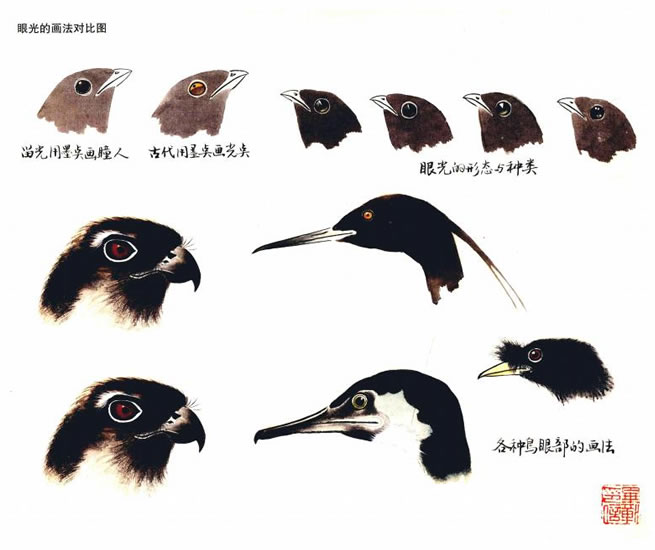 鳥的嘴和眼的畫法