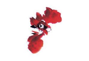 公雞的步驟畫法二