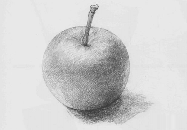 蘋(píng)果素描（一）